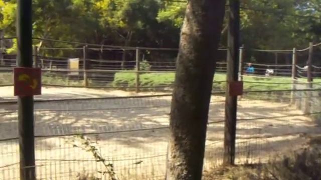 Мишель ловит воробья смотреть онлайн