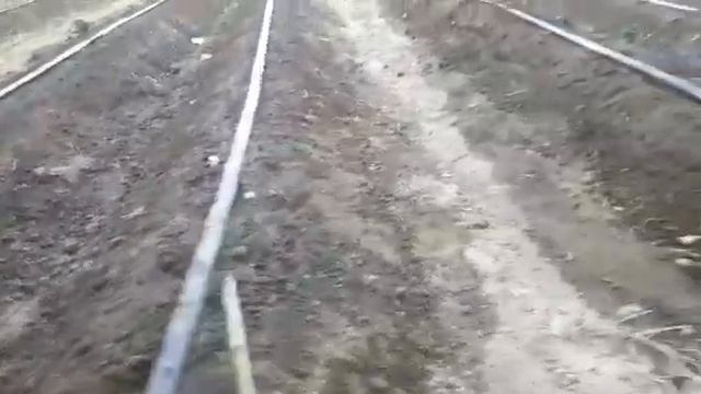 БОДРИНГ УРУГИНИ  ЭКИШ