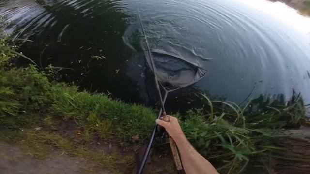 I try to catch a big catfish on a chunk of Barracuda! смотреть онлайн