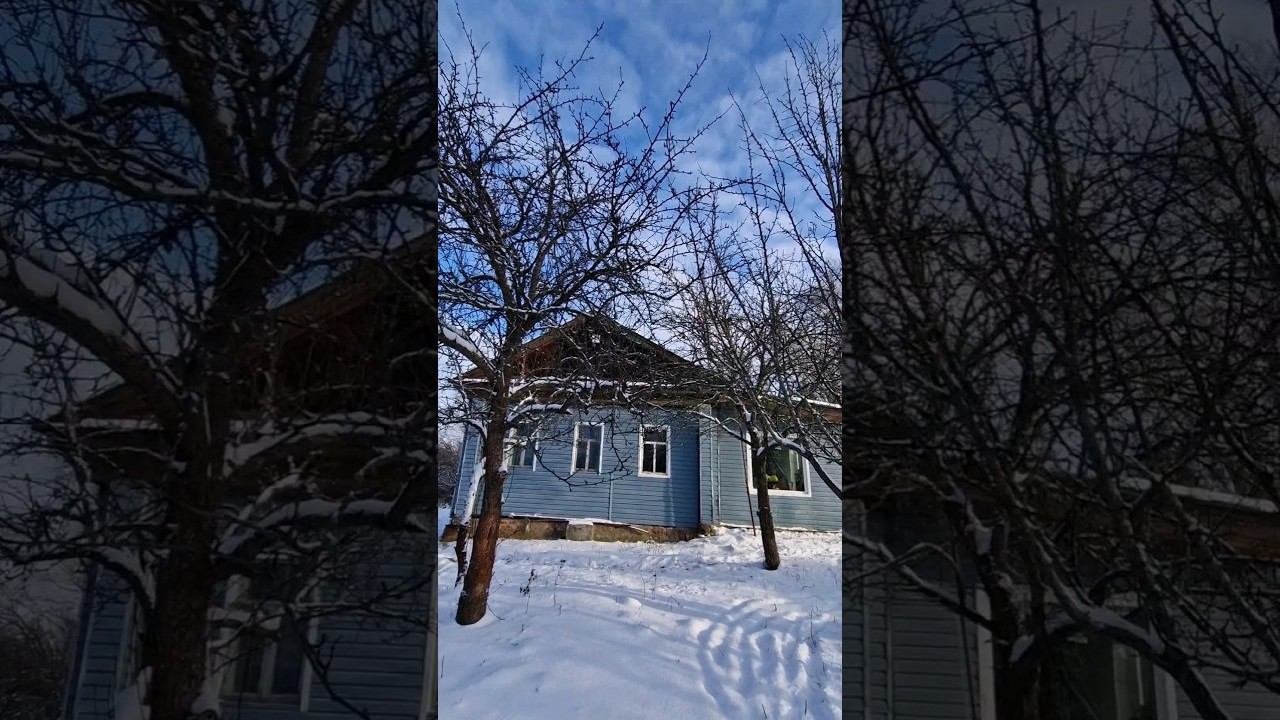 #домиквдеревне #снегопад #зимавдеревне #зима #изгородавдеревню #дом смотреть онлайн
