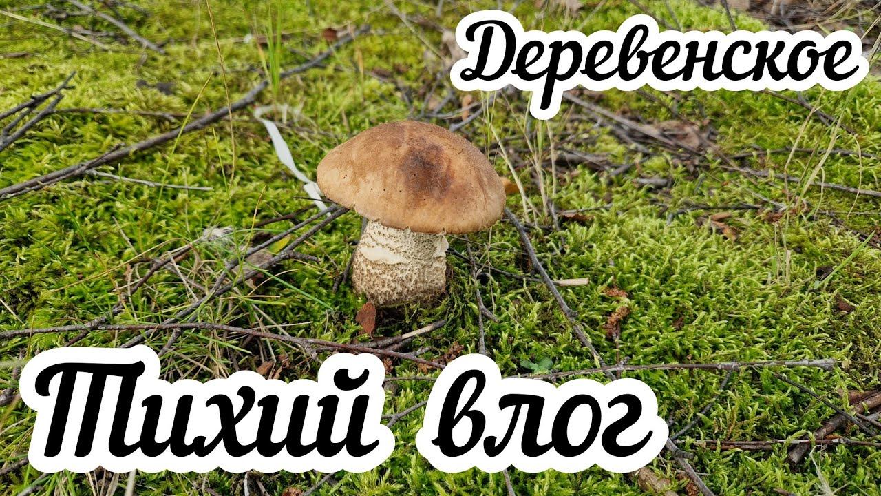 Тихий деревенский влог⬛ смотреть онлайн