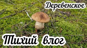 Тихий деревенский влог⬛