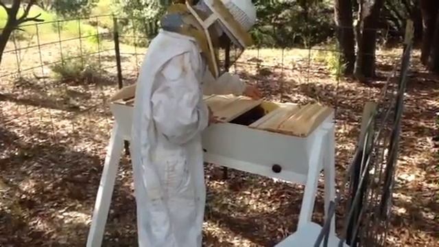 Identifying Crooked Comb on a Top-Bar Hive смотреть онлайн