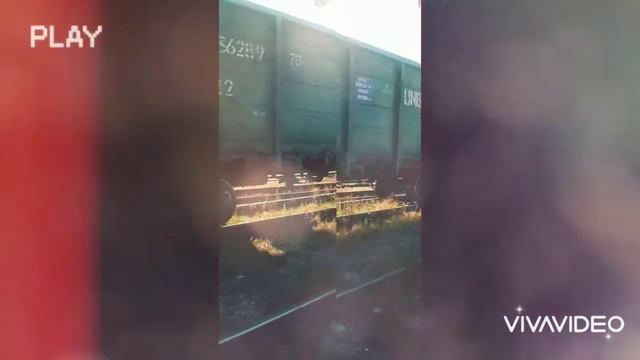 Движение поезда в парке смотреть онлайн