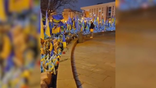 Укроп на грядках смотреть онлайн