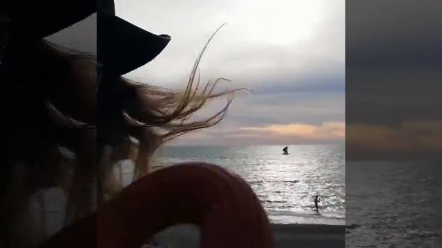 Южный морж смотреть онлайн