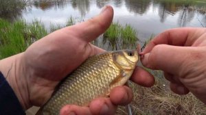 Ловля Карася на Маховую удочку ранней Весной! На Деревенском пруду!