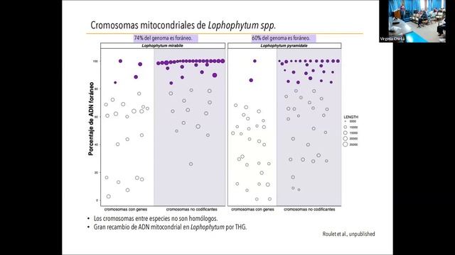 Plantas transgénicas naturales: el impacto evolutivo de la transferencia horizontal de genes смотреть онлайн