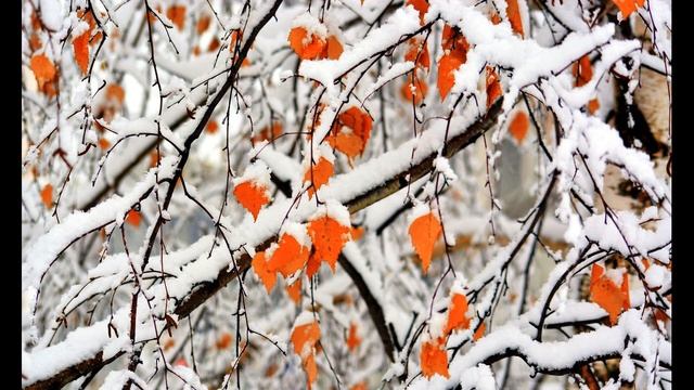 И  Никитин  Встреча зимы  Отрывок #стихиозиме #поэты19века