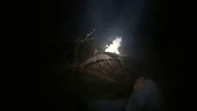 Весёлая кошка пришла потусить ночью к костру смотреть онлайн