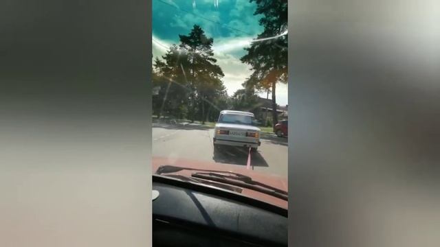 Работники приюта - золотые люди смотреть онлайн