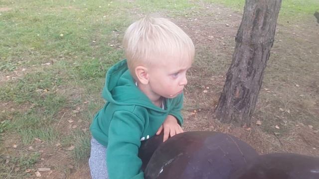 Коприно и муравей смотреть онлайн