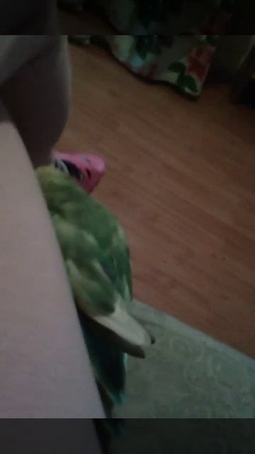 Моя Маруся греется от моих ног смотреть онлайн