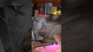 Обзор карт таро которые я не собиралась покупать