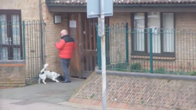 i London City streets City dogs Улицы города Городские собаки UK England 20200216 смотреть онлайн
