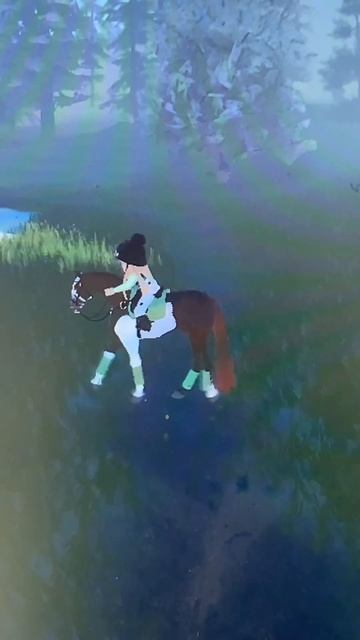 ❤️ #horse #equestrian #mse смотреть онлайн