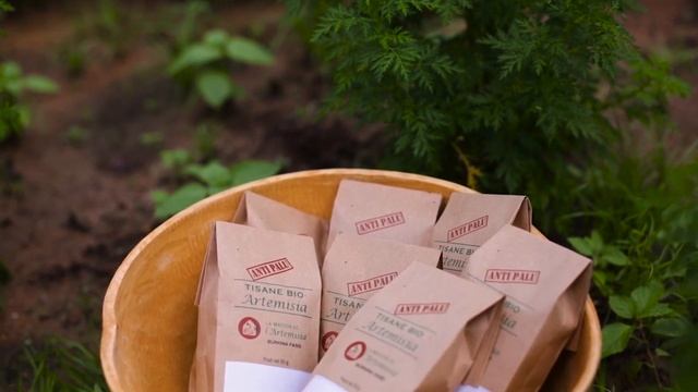 Posologie de l'Artemisia (djoula/français/moré) смотреть онлайн