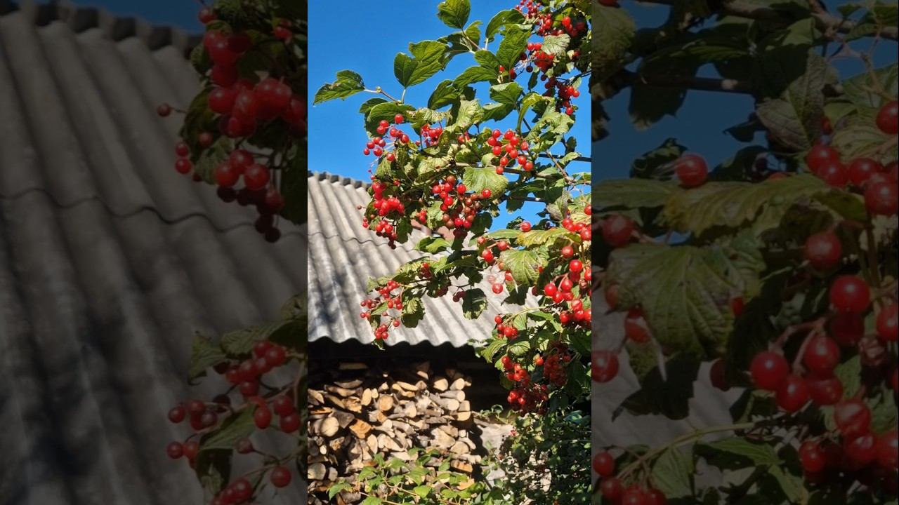 Замечаете? смотреть онлайн