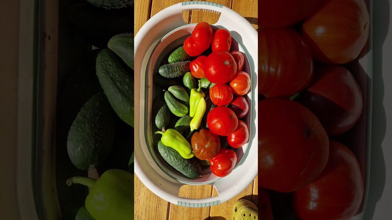 Осень смотреть онлайн