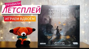 Чёрная книга 🦊 настольная игра: обзор и летсплей