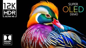 Самый странный неизвестный мир 🌍 Dolby Vision 12K HDR 120FPS