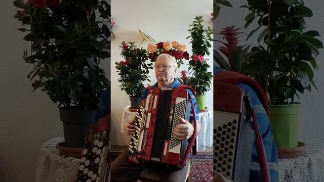 Шиповник. смотреть онлайн
