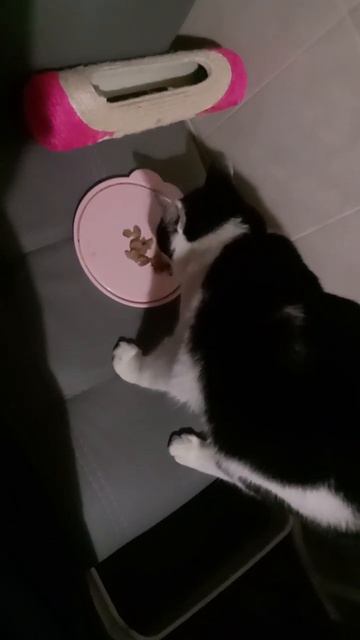 Люля-кебаб...