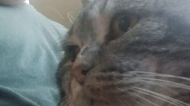 привет смотреть онлайн