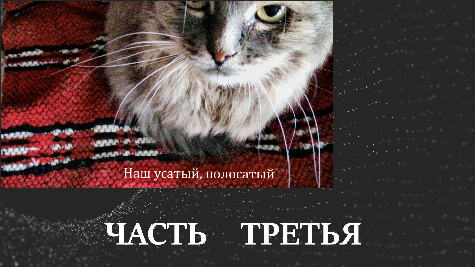 Наш усатый полосатый часть 3 2022 г смотреть онлайн