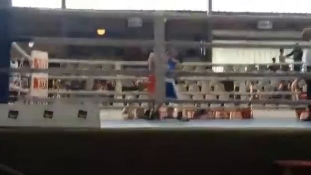 Boxing club storm смотреть онлайн