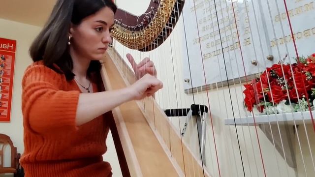 Арфа Г. Ф. Гендель - Прелюдия и токката до минор смотреть онлайн