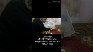 Дороботка сетки инкубатора