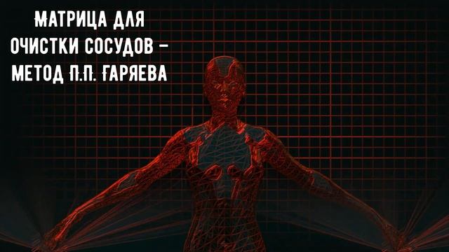 Матрица для очистки сосудов – Прорыв в медицине по методу П.П. Гаряева.Без таблеток и хирургов смотреть онлайн