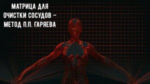 Матрица для очистки сосудов – Прорыв в медицине по методу П.П. Гаряева.Без таблеток и хирургов