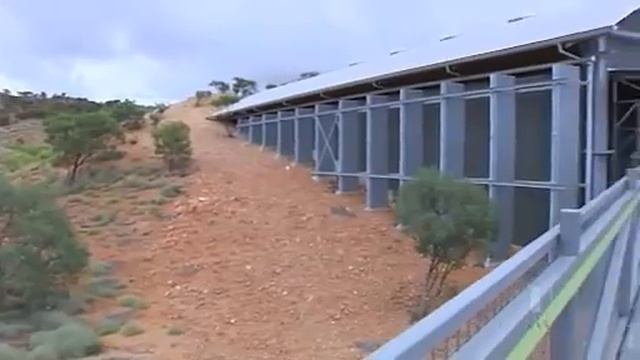 Mayor pleads for dinosaur tracks' preservation смотреть онлайн