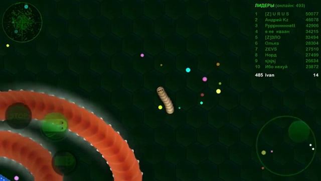 Играем в Wormax.io червячный бой смотреть онлайн