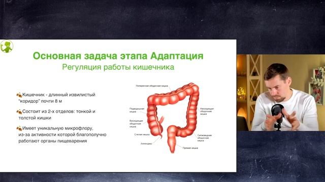 Теория 1 ЭТАП.