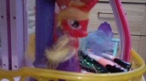 Саша в гостях.Первый и последний день у Лотос.