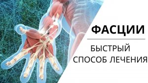 ФАСЦИИ | РАБОТА с фасциями тела