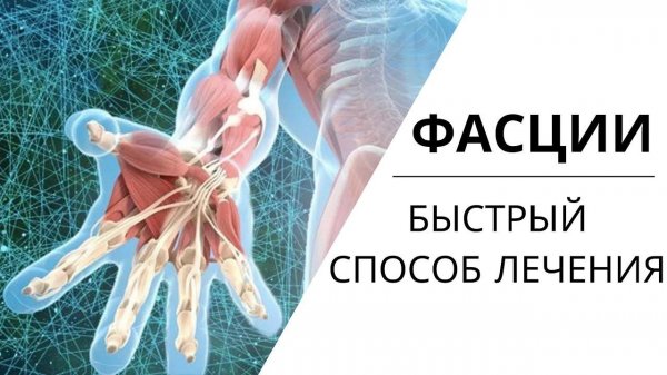 ФАСЦИИ | РАБОТА с фасциями тела