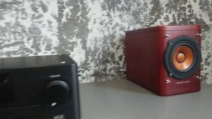 JVC NX-AK1E & Jvc SP- EXA1 wood cone