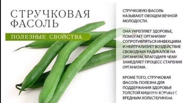 Стручковая фасоль смотреть онлайн