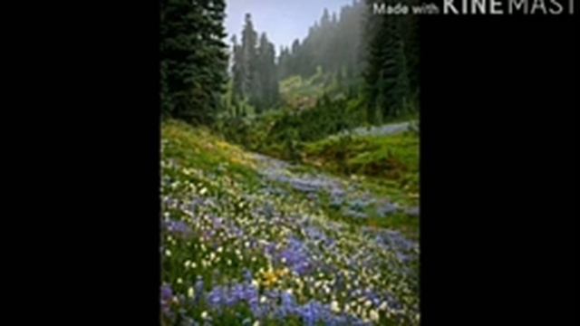 pista el amor de mi vida se llama Jesús con letra смотреть онлайн