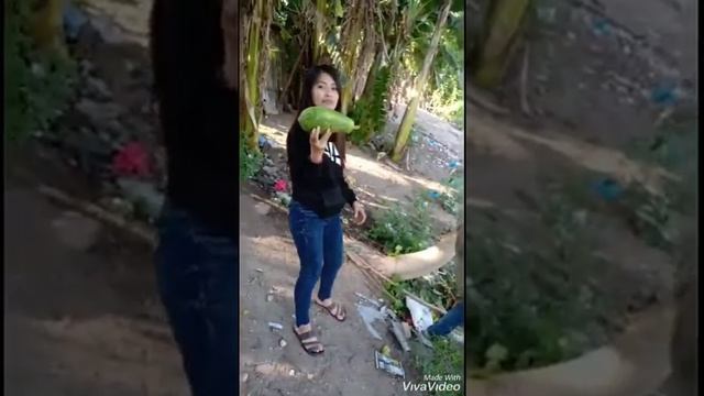 Carica papaya girl 😂 смотреть онлайн