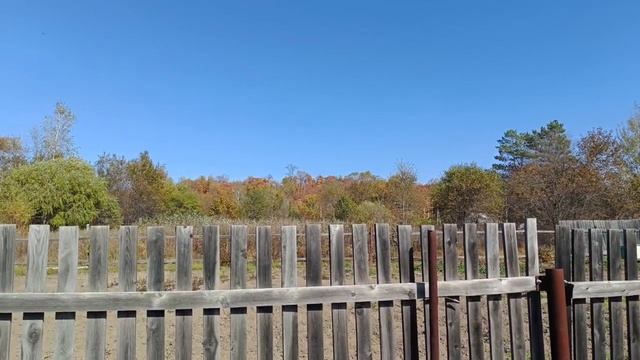 Земельный участок смотреть онлайн