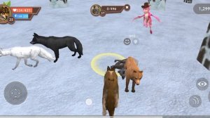 симулятор волк 🐺 я убивала волка и рыся И самое главное Сегодня я открыла сундук