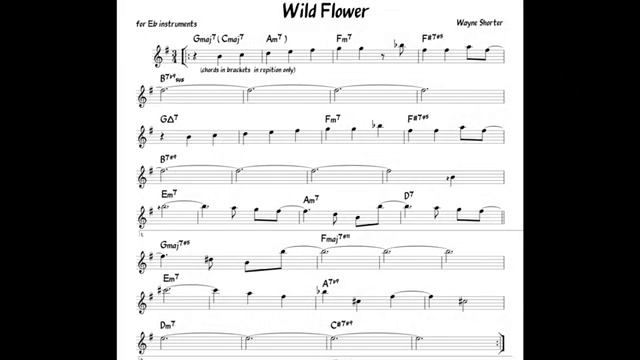 Wild Flower Wayne Shorter Backing track score for Eb alto instruments_270p_360p смотреть онлайн