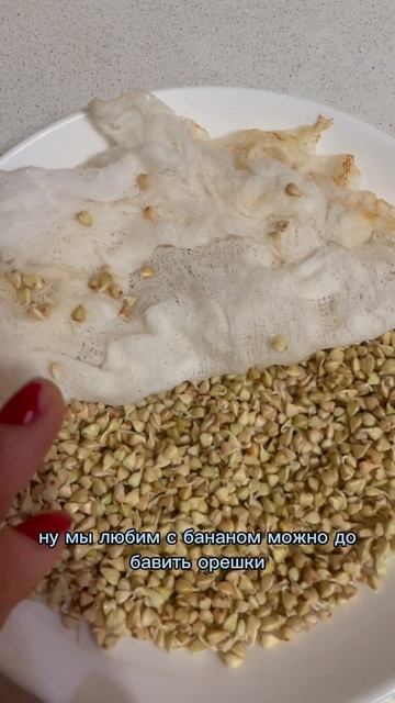 Творожок из пророщенной зеленой гречки #пп #пптворожок #ппрецепты #shortsvideo смотреть онлайн