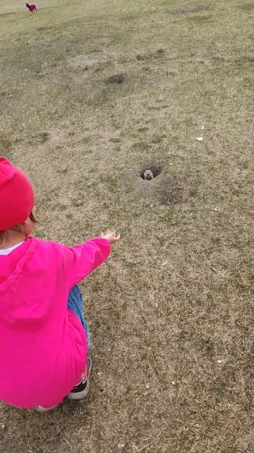 Варюшка и суслик🤗🤗🤗 смотреть онлайн