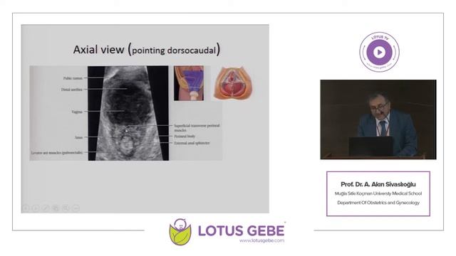 Prof.Dr. Akın Sivaslıoğlu - Clinical Relevance of Ultrasonography in Anterior Compartment Disorder смотреть онлайн